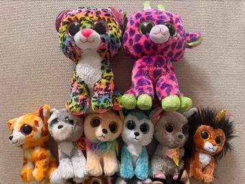 Ty beanie boo knuffels beschikbaar voor biedingen