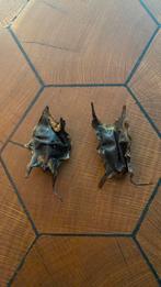 Roggen eieren, Ophalen of Verzenden, Zo goed als nieuw, Beeldje of Figuurtje