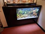 Maatwerk Aquarium L180xB55xH112 cm, Dieren en Toebehoren, Vissen | Aquaria en Toebehoren, Ophalen, Zo goed als nieuw, Leeg aquarium