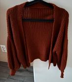 Nieuw Roest Bruin vest, Kleding | Dames, Ophalen of Verzenden, Nieuw, Bruin