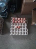 Eieren, Ophalen of Verzenden