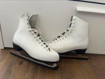 Kunstschaatsen beschikbaar voor biedingen