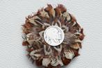 Buffelo Munt Broche  -   Vintage, Postzegels en Munten, Munten | Amerika, Verzenden, Noord-Amerika