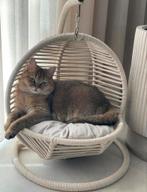Beige mini hangstoel met pluche kussen voor kat of hond, Ophalen of Verzenden, Zo goed als nieuw