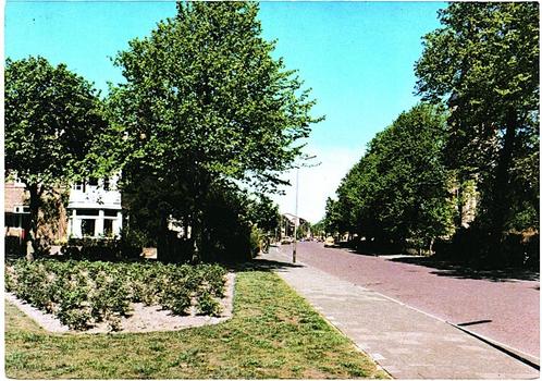 806113	Driehuis	NH 1976	Driehuizerkerkweg	Nette oude kaart o, Verzamelen, Ansichtkaarten | Nederland, Ongelopen, Noord-Holland