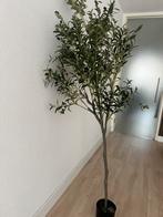 Kunst olijfboom 175 cm, Huis en Inrichting, Woonaccessoires | Kunstplanten en Kunstbloemen, Ophalen, Nieuw