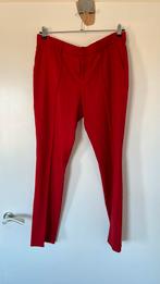 Amatør broek nieuw mt XL, Lang, Ophalen of Verzenden, Rood