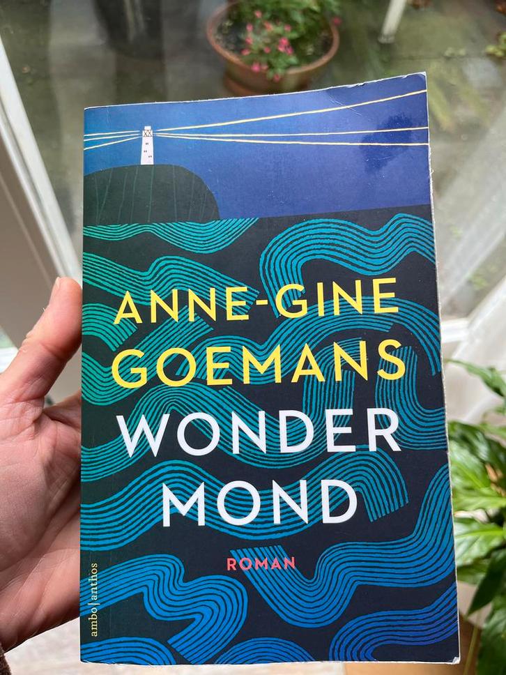 Boek (afhalen) Wondermond - Anne-Gine Goemans, Boeken, Romans, Gelezen, Nederland, Ophalen