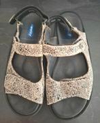 Wolky sandalen maat 37/38, Kleding | Dames, Schoenen, Wolky, Overige kleuren, Zo goed als nieuw, Sandalen of Muiltjes