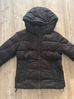 FB Sisters Winterjas Zwart - Maat S, Ophalen of Verzenden, Gedragen, Maat 36 (S), Zwart