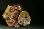 Golde serenity, echte bloemen en insecten in goud en epoxy., Ophalen of Verzenden
