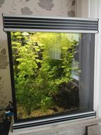 Te koop, supermooi kubus aquarium van Trofis., Ophalen, Gevuld zoetwateraquarium