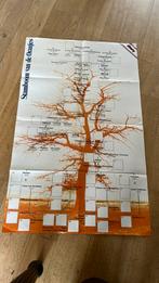 Poster stamboom koningshuis Nederland, Verzamelen, Koninklijk Huis en Royalty, Ophalen of Verzenden, Zo goed als nieuw, Kaart, Foto of Prent