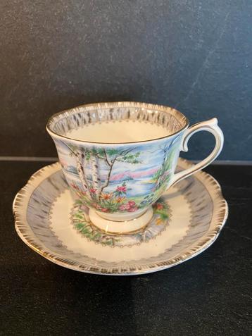 Royal Albert “Silver Birch” beschikbaar voor biedingen