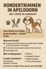 Trimsalon aan huis IN APELDOORN – MET LIEFDE EN AANDACHT ️, Trimmen of Verzorging