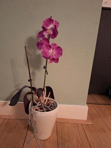 Kunst Orchidee in Pot beschikbaar voor biedingen