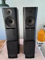 B&W DM305 torenluidsprekers ( bowers & wilkins ), Ophalen, Gebruikt, Overige merken, Overige spelers