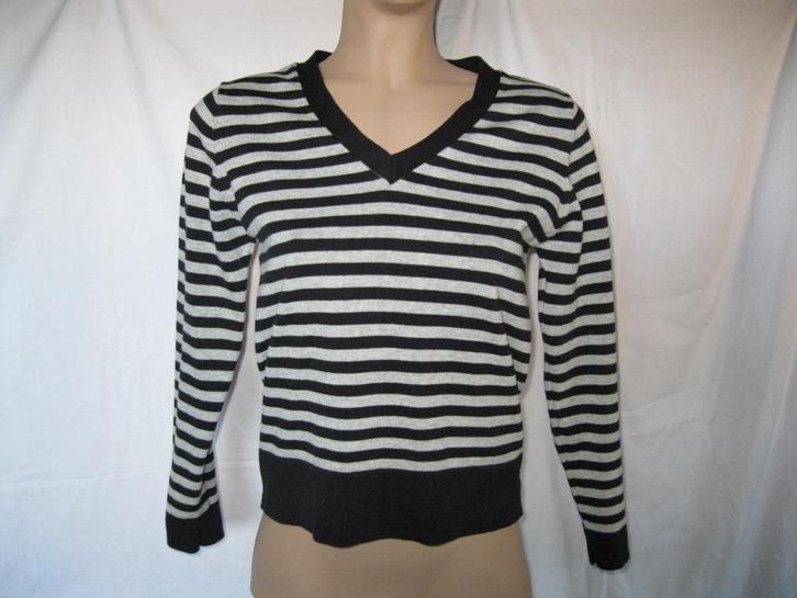 maat L, 1 Paolo Feretti truitje, 58 cm., Kleding | Dames, Truien en Vesten, Zo goed als nieuw, Overige kleuren, Ophalen of Verzenden