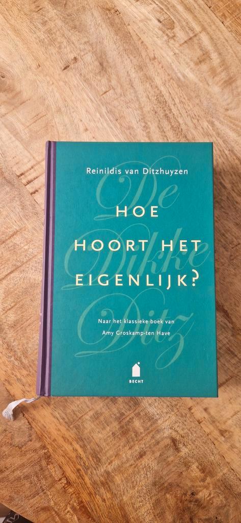 Reinildis van Ditzhuyzen - Hoe hoort het eigenlijk?, Boeken, Mode, Zo goed als nieuw, Mode algemeen, Ophalen of Verzenden