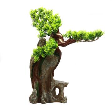 Bonsaibomen voor in het aquarium, keus uit 100 soorten! beschikbaar voor biedingen