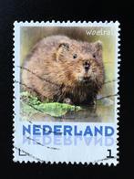 2084 Persoonlijke zegel - Woelrat - gestempeld, Postzegels en Munten, Postzegels | Nederland, Ophalen, Na 1940, Gestempeld