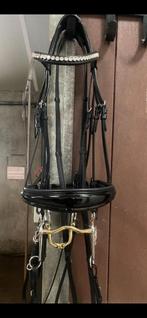 Stang- en trenshoofdstel Full zwart (zonder stang/bit), Ophalen of Verzenden, Zo goed als nieuw, Dressuur