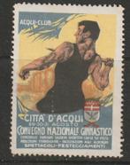 Italië cinderella nationale gymnastiek conventie 1913, Ophalen of Verzenden, Postfris