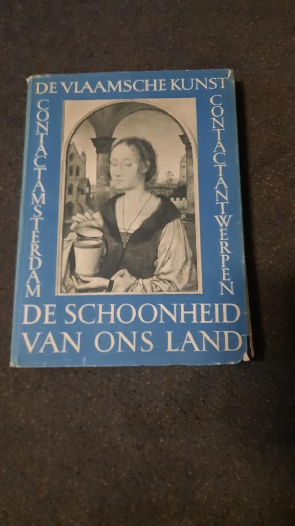 De Vlaamse Kunst, Antiek en Kunst, Antiek | Boeken en Bijbels, Ophalen of Verzenden