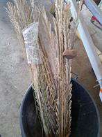 Plantendecoratie, Ophalen, Overige soorten