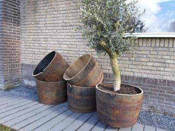 Half Whiskeyvat Eikenhouten Plantenbak Inhoud 100 liter beschikbaar voor biedingen