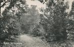 9075  Renkum, Bos Keijenberg, Verzamelen, Ansichtkaarten | Nederland, Ophalen of Verzenden