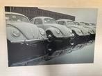 VW Kever foto/pooster 200cmx130cm, Verzamelen, Ophalen of Verzenden, 1960 tot 1980, Zo goed als nieuw, Overige onderwerpen