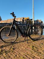 Stella Morena Black MDBPX (October 2024), Overige merken, Ophalen of Verzenden, Zo goed als nieuw, 51 tot 55 cm