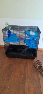 Knaagdieren (hamster) hok, Dieren en Toebehoren, Knaagdieren en Konijnen | Hokken en Kooien, Minder dan 75 cm, Zo goed als nieuw