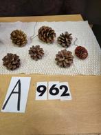 dennenappels zeven stuks [a962, Diversen, Kerst, Ophalen of Verzenden, 'T Olde Gre-j, Info@toldegrej.nl, Endepoelstraat 20f Didam