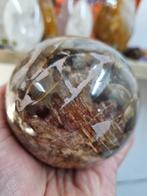 Bol van versteend hout, Ophalen of Verzenden, Mineraal