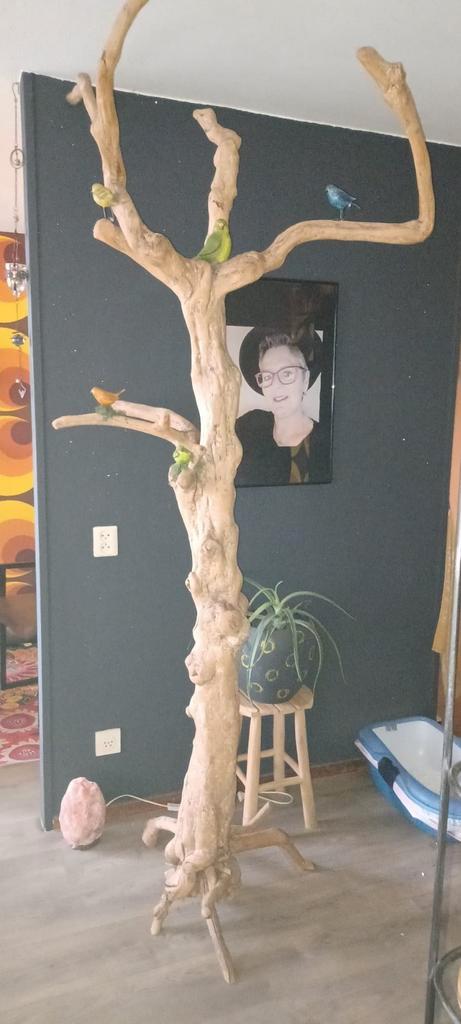 Papagaaien boom, Dieren en Toebehoren, Vogels | Toebehoren, Zo goed als nieuw, Overige typen, Ophalen