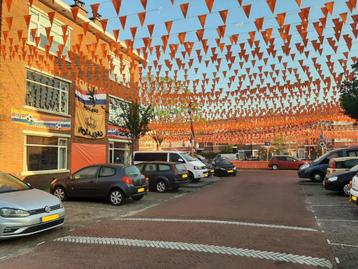 Oranje vlaggen - oranje vlaggetjes - oranje artikelen 