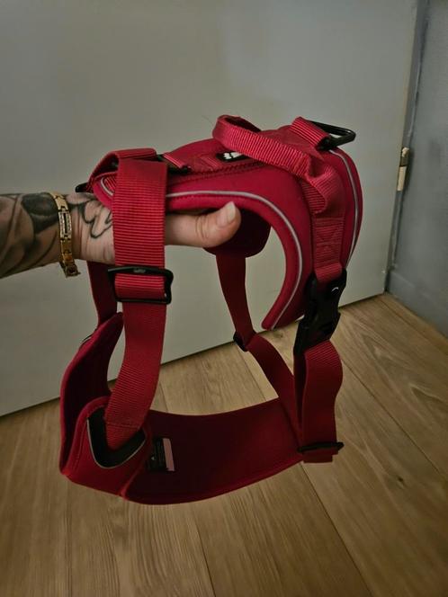 Honden tuig., Dieren en Toebehoren, Honden-accessoires, Zo goed als nieuw, Ophalen