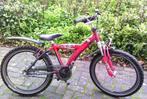 Stoere Batavus Snake 22 inch 3 Nexus met voorvering., Ophalen, 22 inch, Gebruikt, Batavus.