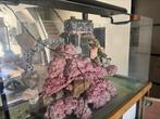 Nieuw aquarium. (Kompleet), Dieren en Toebehoren, Vissen | Aquaria en Toebehoren, Ophalen of Verzenden, Nieuw, Gevuld zeewateraquarium