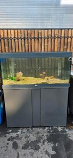 Keurige Aquarium, Dieren en Toebehoren, Ophalen, Zo goed als nieuw, Leeg aquarium