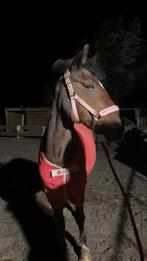 Bucas deken 5,3, Dieren en Toebehoren, Paarden en Pony's | Dekens en Dekjes, Ophalen of Verzenden