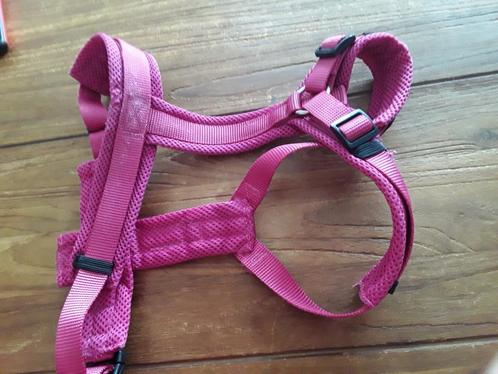 Honden Y- tuin van Petlando, Dieren en Toebehoren, Honden-accessoires, Zo goed als nieuw, Ophalen of Verzenden