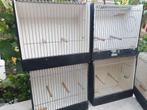 Vogel kooi, Dieren en Toebehoren, Vogels | Hokken en Kooien, Ophalen, Gebruikt, Hout, Overige typen