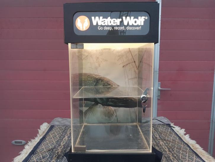 LEUK VITRINEKAST VOOR VIS DECORATIE NU 24.95 EURO, Dieren en Toebehoren, Vissen | Aquaria en Toebehoren, Zo goed als nieuw, Ophalen of Verzenden