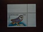 Vogel uil Suriname 1993, mi. 1429 postfris hoekstuk, Ophalen of Verzenden, Postfris, Dier of Natuur