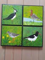 Schilderij met 4 weidevogels, olie op doek, 43,543,5, Ophalen, Minder dan 50 cm, Schilderij, Minder dan 50 cm