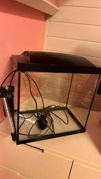 Aquarium +filter +thermostaat, Ophalen of Verzenden, Zo goed als nieuw, Leeg aquarium
