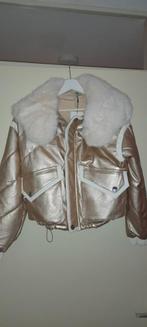 Leuke, korte winterjas van het merk Softy Nieuw!, Kleding | Dames, Maat 38/40 (M), Overige kleuren, Nieuw, Ophalen of Verzenden